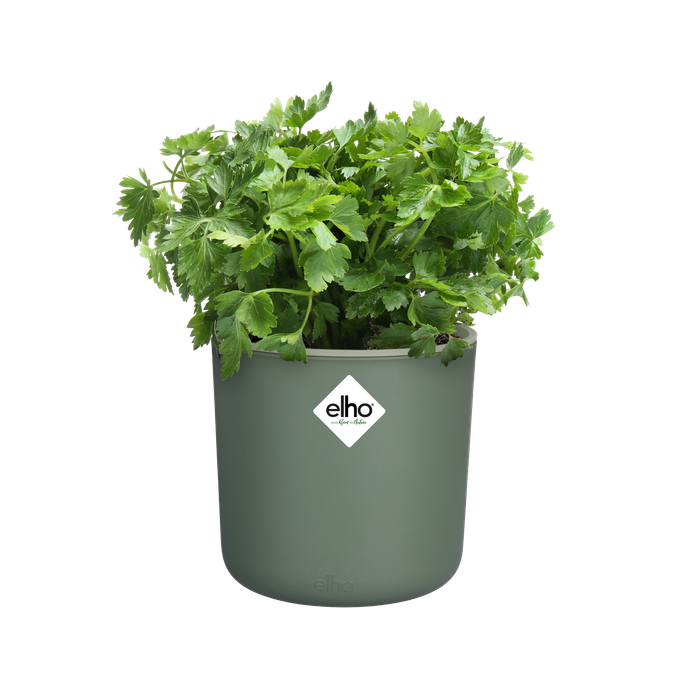 happy herbs 14cm laubgrün